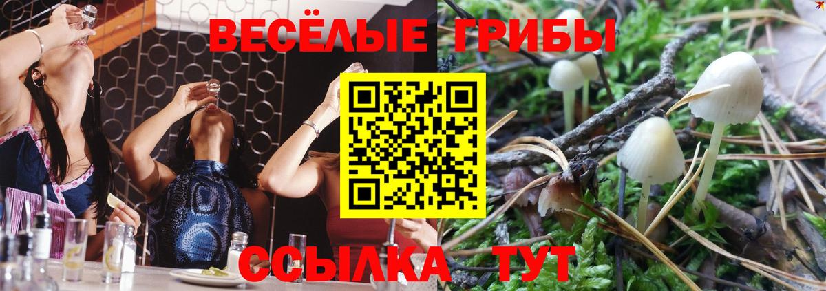 Саратов  сколько стоит  Вход с VPN  Псилоцибиновые грибы Cubensis  Псилоцибиновые грибы прущие грибы 